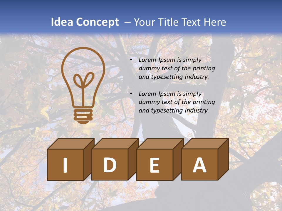 Looking Up Autumn Leaves, London England Uk PowerPoint Template