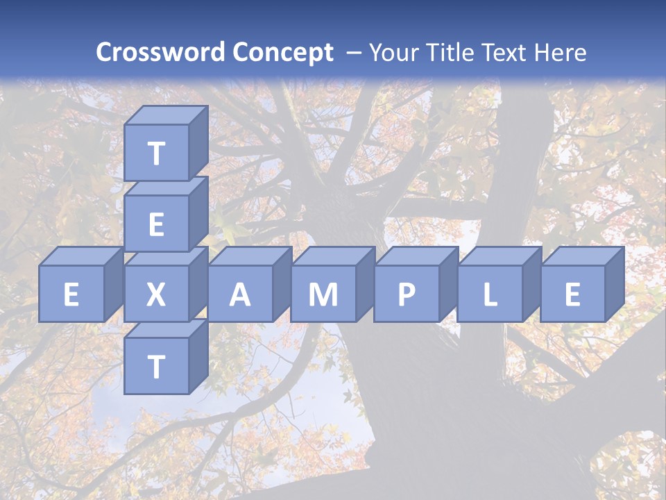 Looking Up Autumn Leaves, London England Uk PowerPoint Template