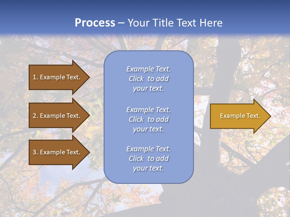 Looking Up Autumn Leaves, London England Uk PowerPoint Template