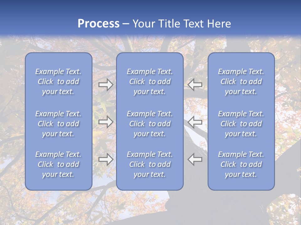 Looking Up Autumn Leaves, London England Uk PowerPoint Template