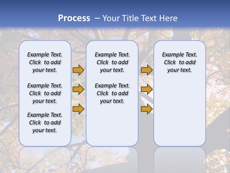 Looking Up Autumn Leaves, London England Uk PowerPoint Template