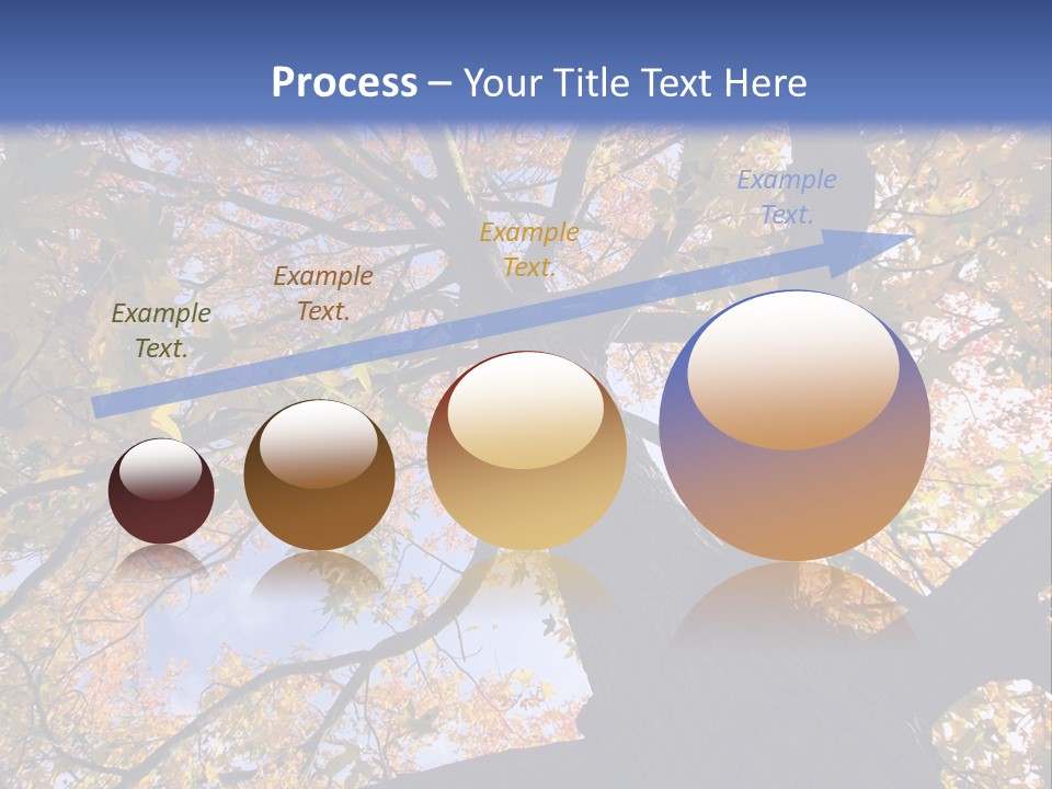 Looking Up Autumn Leaves, London England Uk PowerPoint Template