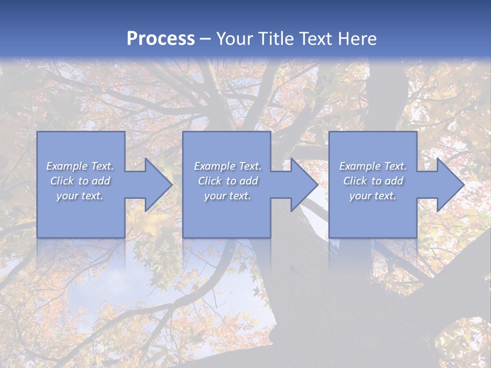 Looking Up Autumn Leaves, London England Uk PowerPoint Template