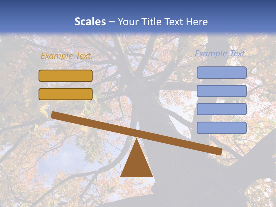 Looking Up Autumn Leaves, London England Uk PowerPoint Template