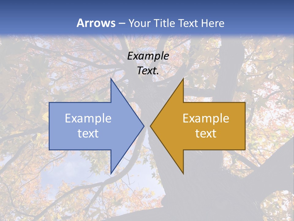 Looking Up Autumn Leaves, London England Uk PowerPoint Template