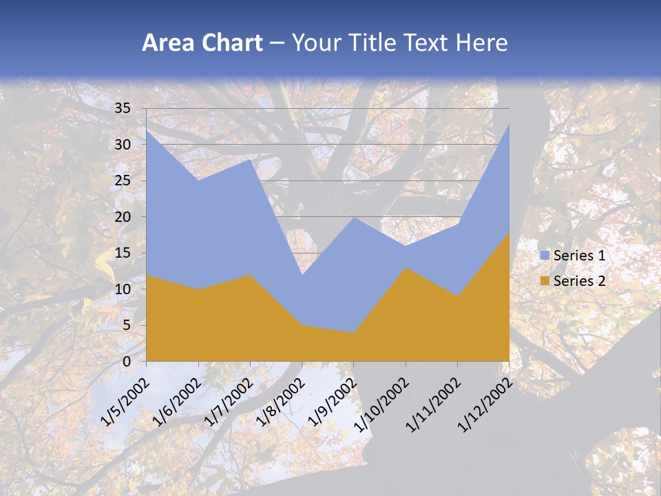 Looking Up Autumn Leaves, London England Uk PowerPoint Template