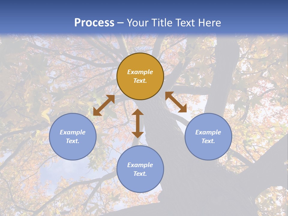 Looking Up Autumn Leaves, London England Uk PowerPoint Template