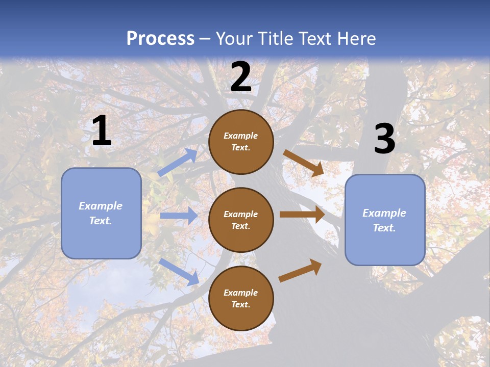 Looking Up Autumn Leaves, London England Uk PowerPoint Template