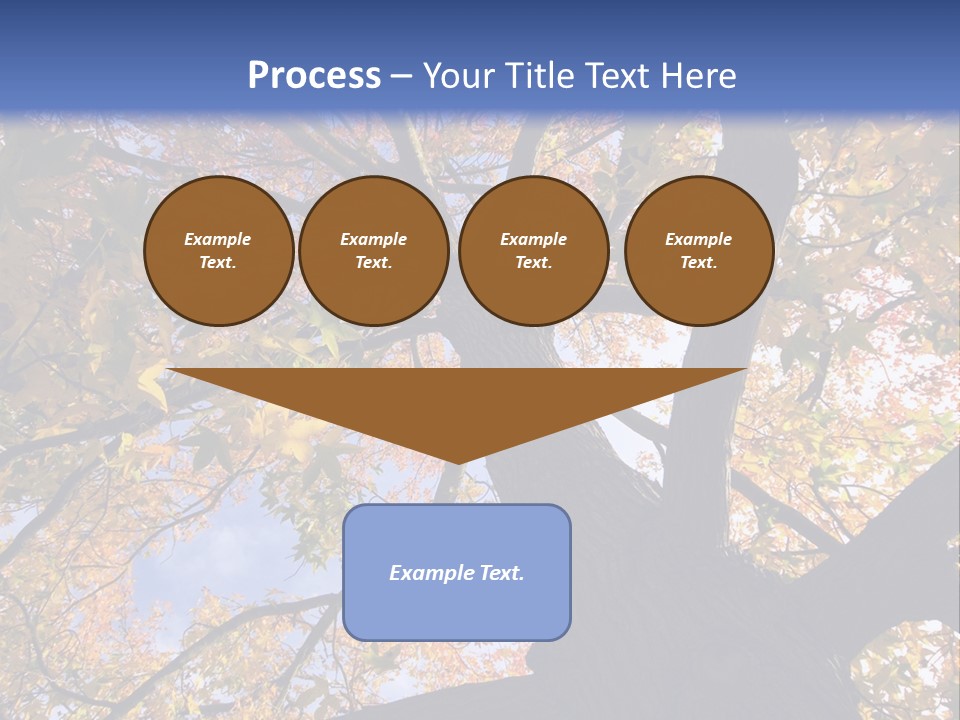 Looking Up Autumn Leaves, London England Uk PowerPoint Template