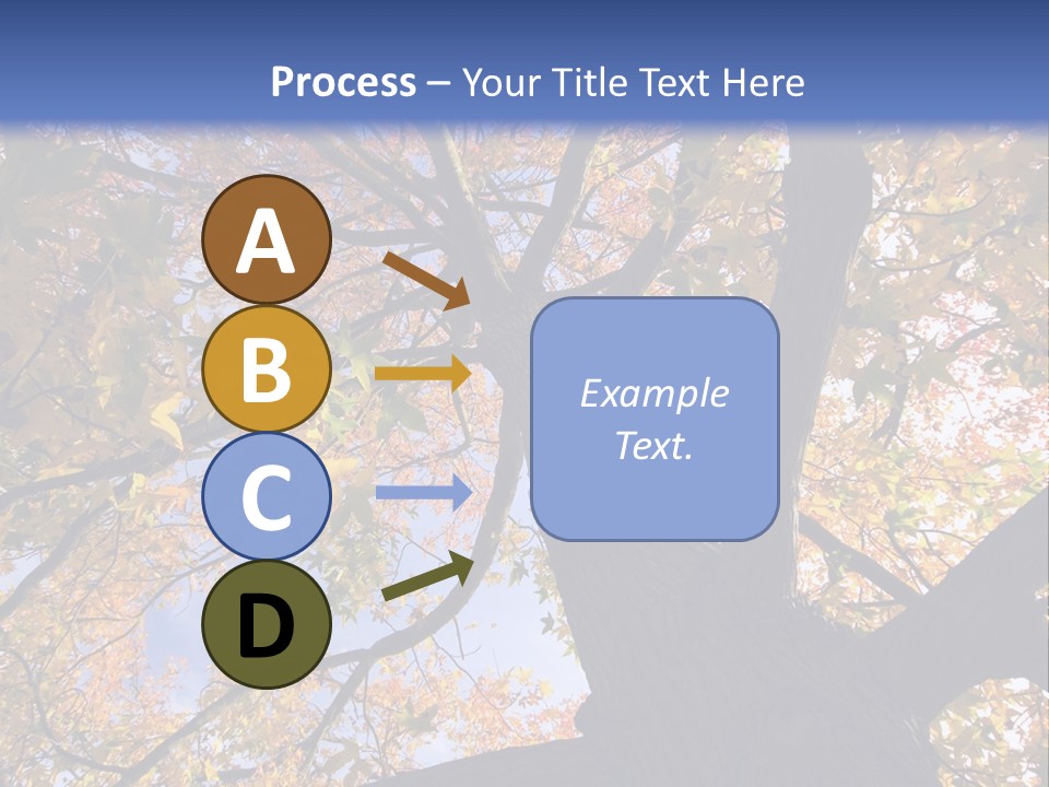 Looking Up Autumn Leaves, London England Uk PowerPoint Template