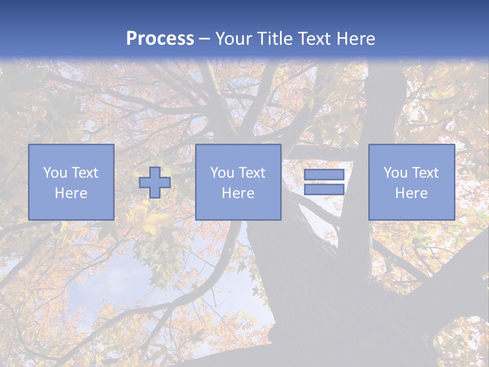 Looking Up Autumn Leaves, London England Uk PowerPoint Template