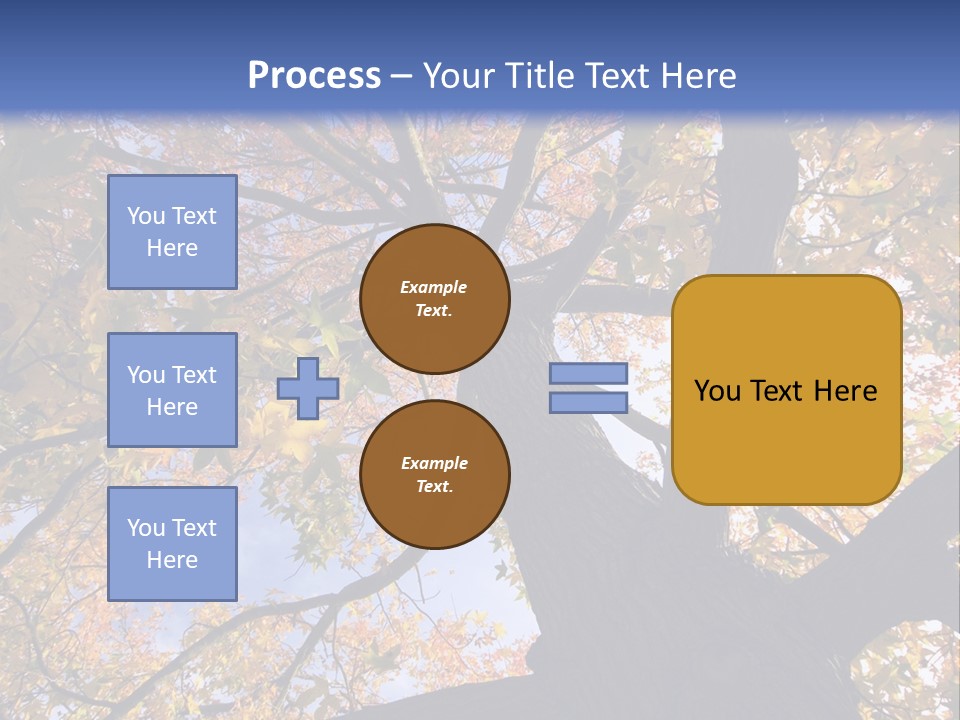 Looking Up Autumn Leaves, London England Uk PowerPoint Template