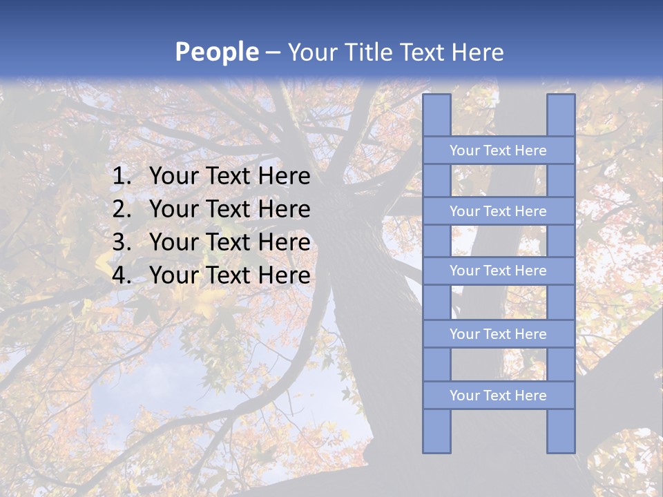 Looking Up Autumn Leaves, London England Uk PowerPoint Template