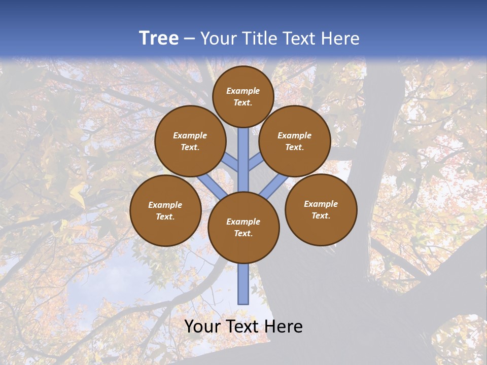 Looking Up Autumn Leaves, London England Uk PowerPoint Template