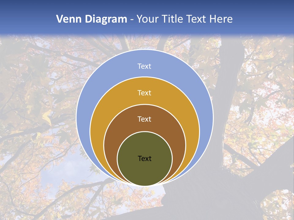 Looking Up Autumn Leaves, London England Uk PowerPoint Template