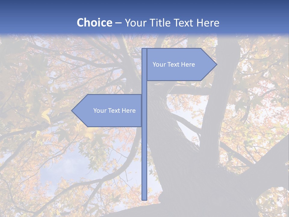 Looking Up Autumn Leaves, London England Uk PowerPoint Template