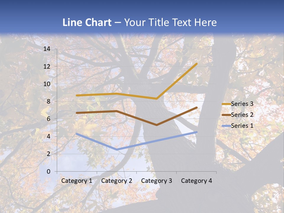 Looking Up Autumn Leaves, London England Uk PowerPoint Template