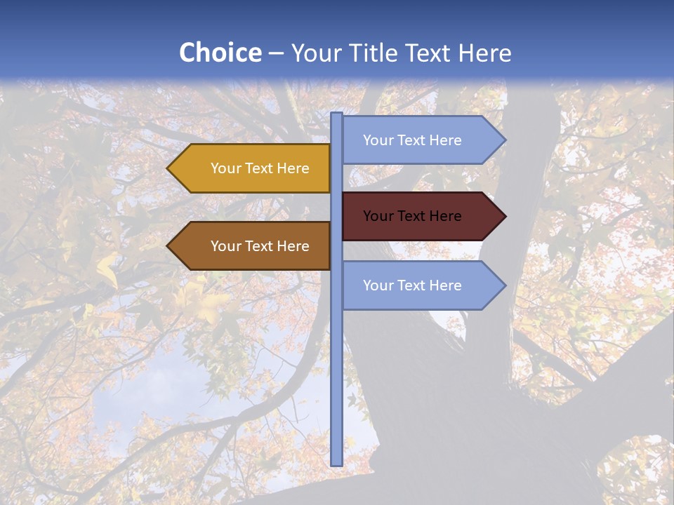 Looking Up Autumn Leaves, London England Uk PowerPoint Template