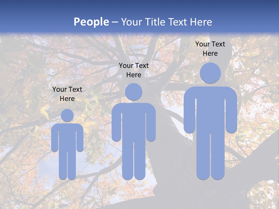 Looking Up Autumn Leaves, London England Uk PowerPoint Template