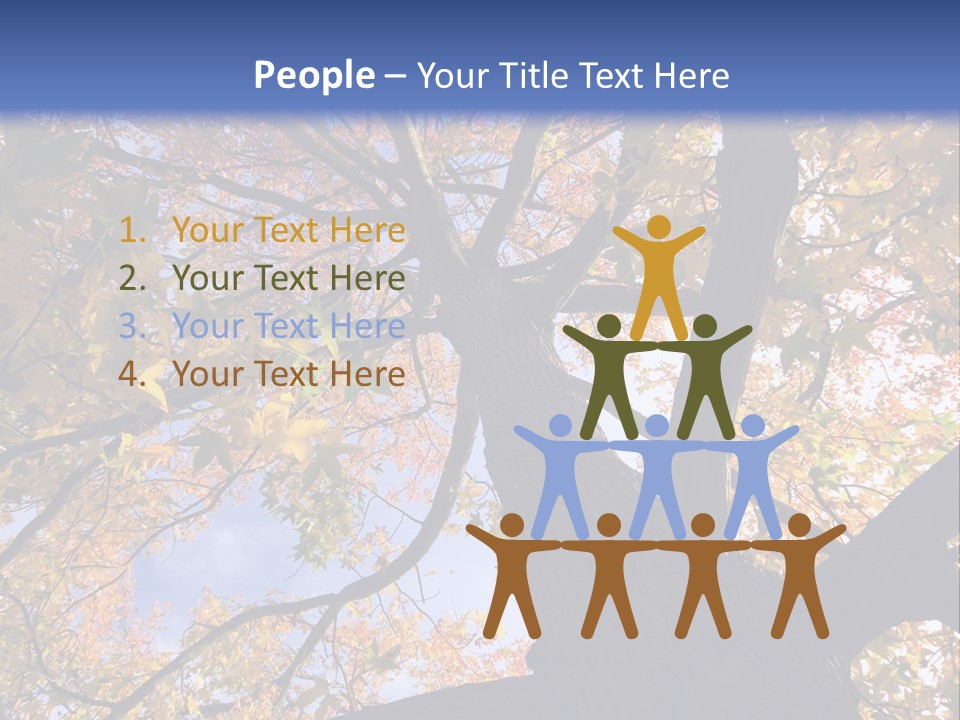 Looking Up Autumn Leaves, London England Uk PowerPoint Template