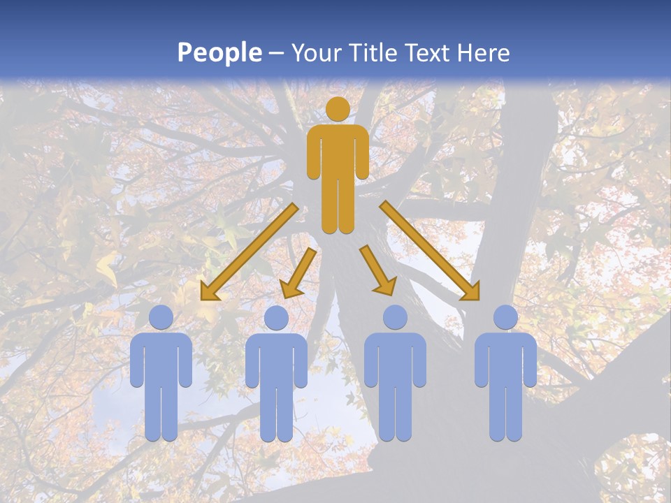 Looking Up Autumn Leaves, London England Uk PowerPoint Template