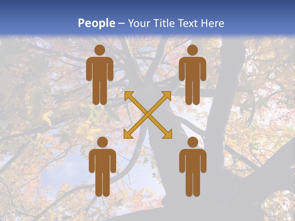 Looking Up Autumn Leaves, London England Uk PowerPoint Template