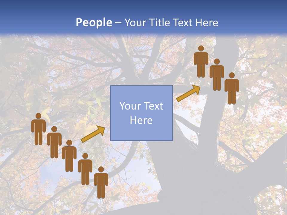 Looking Up Autumn Leaves, London England Uk PowerPoint Template