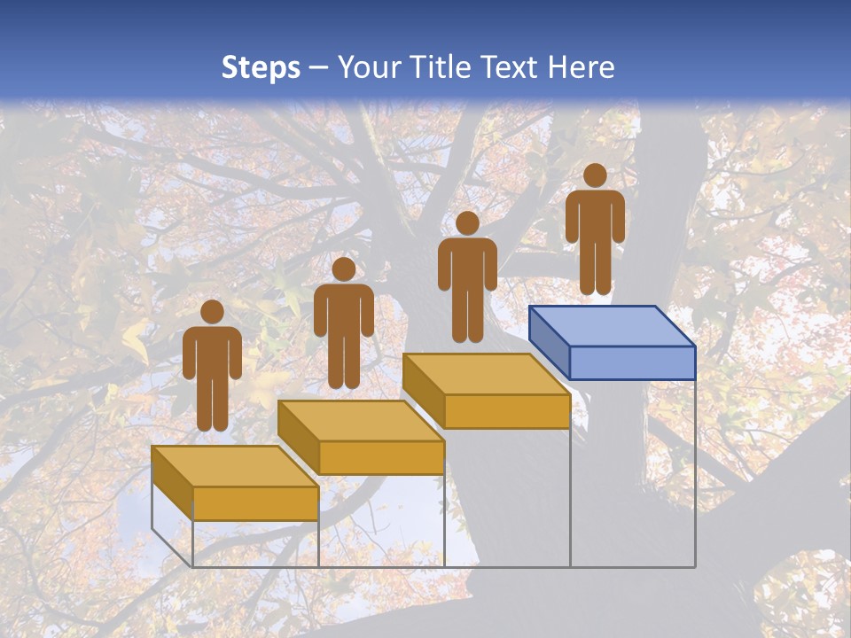 Looking Up Autumn Leaves, London England Uk PowerPoint Template