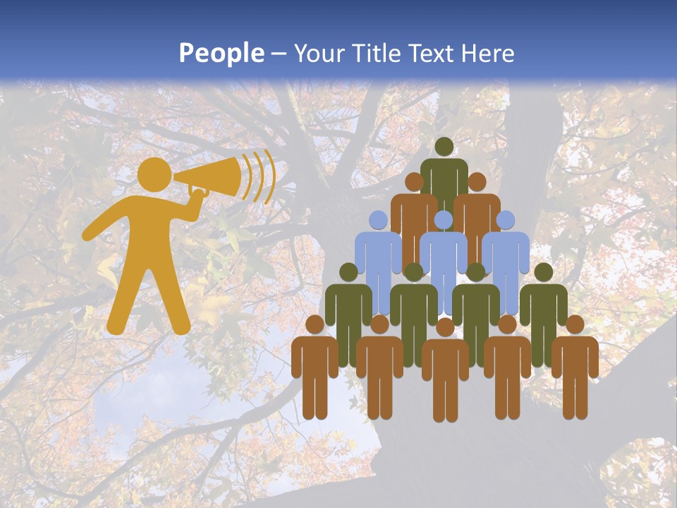 Looking Up Autumn Leaves, London England Uk PowerPoint Template