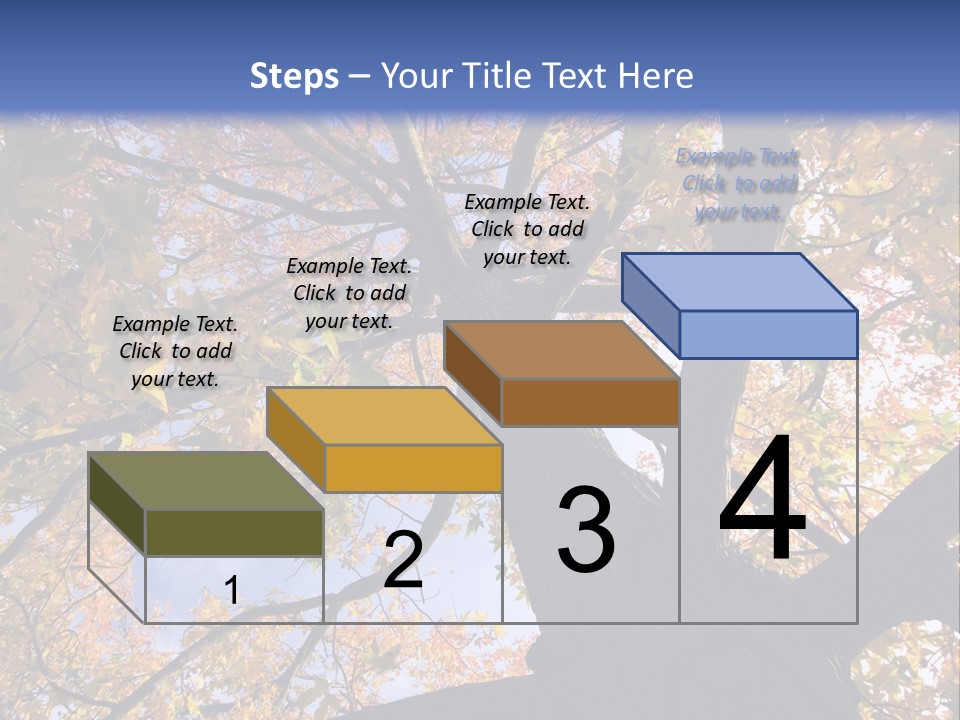 Looking Up Autumn Leaves, London England Uk PowerPoint Template