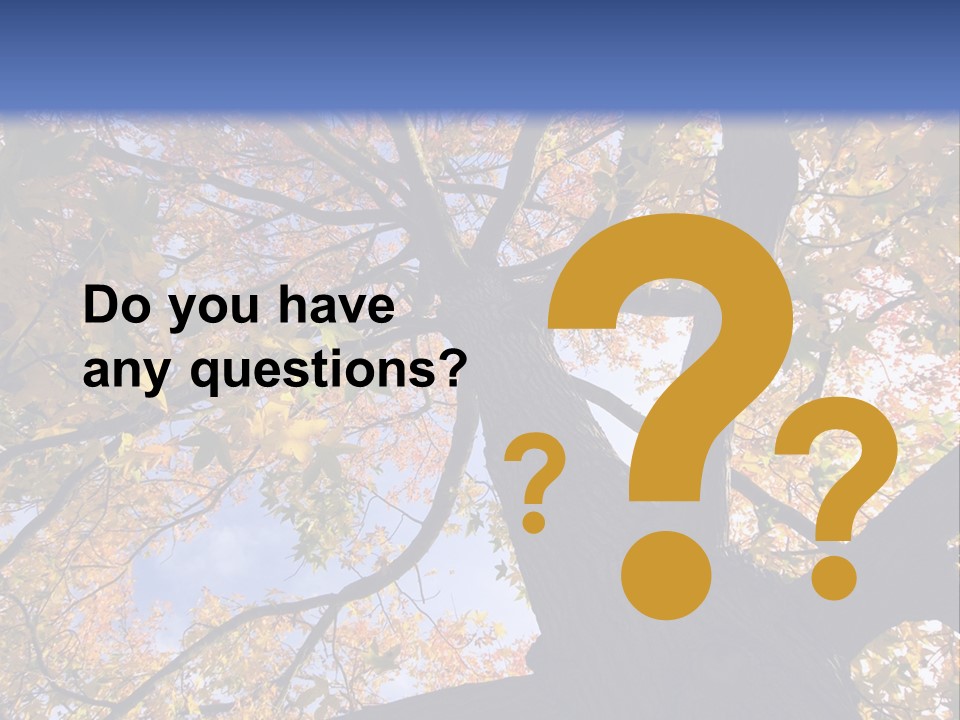 Looking Up Autumn Leaves, London England Uk PowerPoint Template