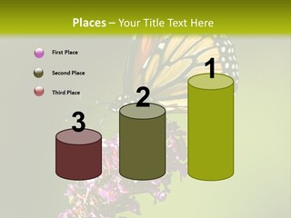 Monarch Butterfly PowerPoint Template