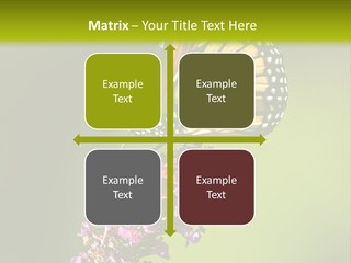 Monarch Butterfly PowerPoint Template