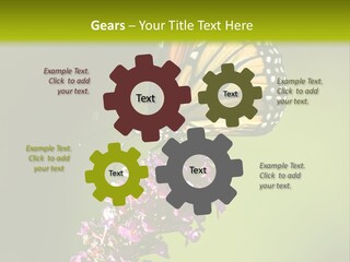 Monarch Butterfly PowerPoint Template