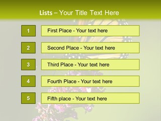 Monarch Butterfly PowerPoint Template