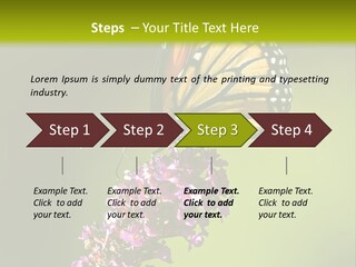 Monarch Butterfly PowerPoint Template