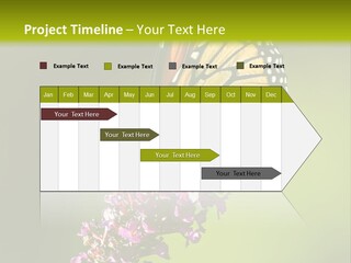 Monarch Butterfly PowerPoint Template