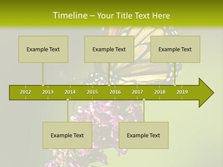 Monarch Butterfly PowerPoint Template