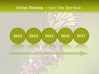 Monarch Butterfly PowerPoint Template