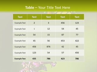 Monarch Butterfly PowerPoint Template