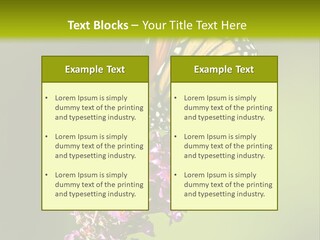 Monarch Butterfly PowerPoint Template