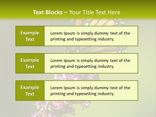 Monarch Butterfly PowerPoint Template