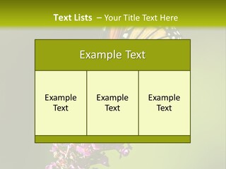 Monarch Butterfly PowerPoint Template