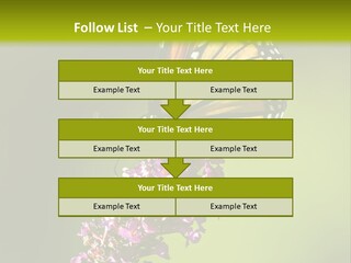 Monarch Butterfly PowerPoint Template