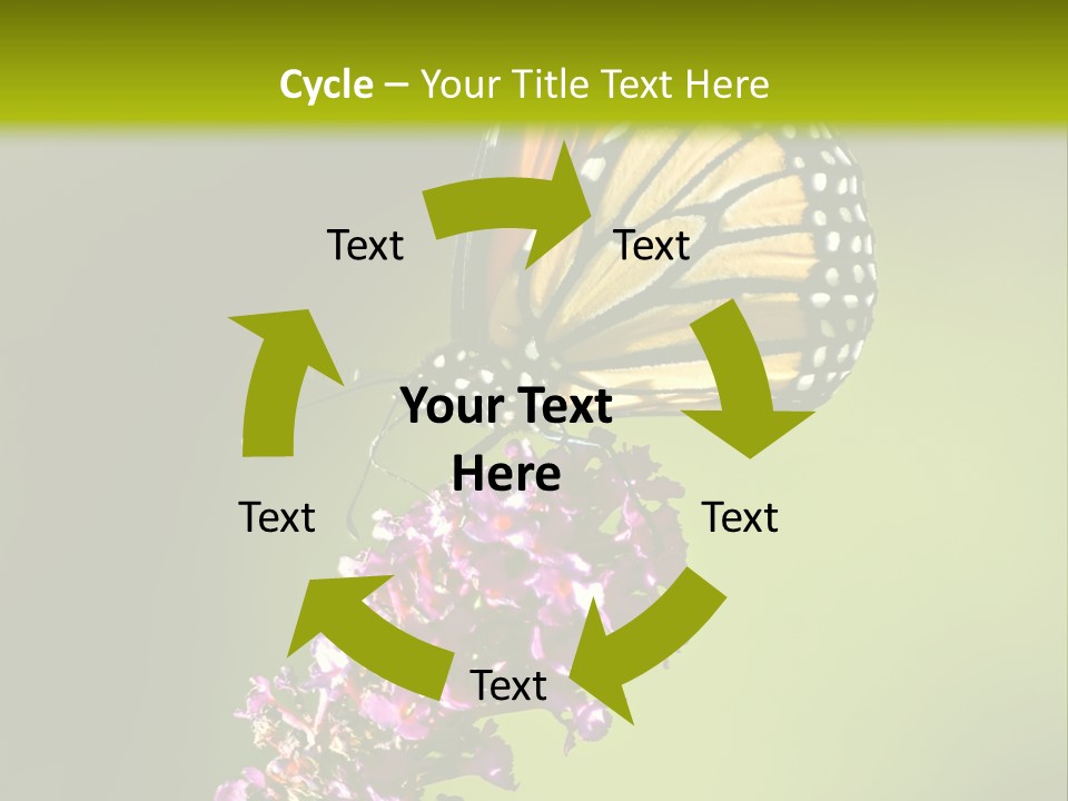 Monarch Butterfly PowerPoint Template