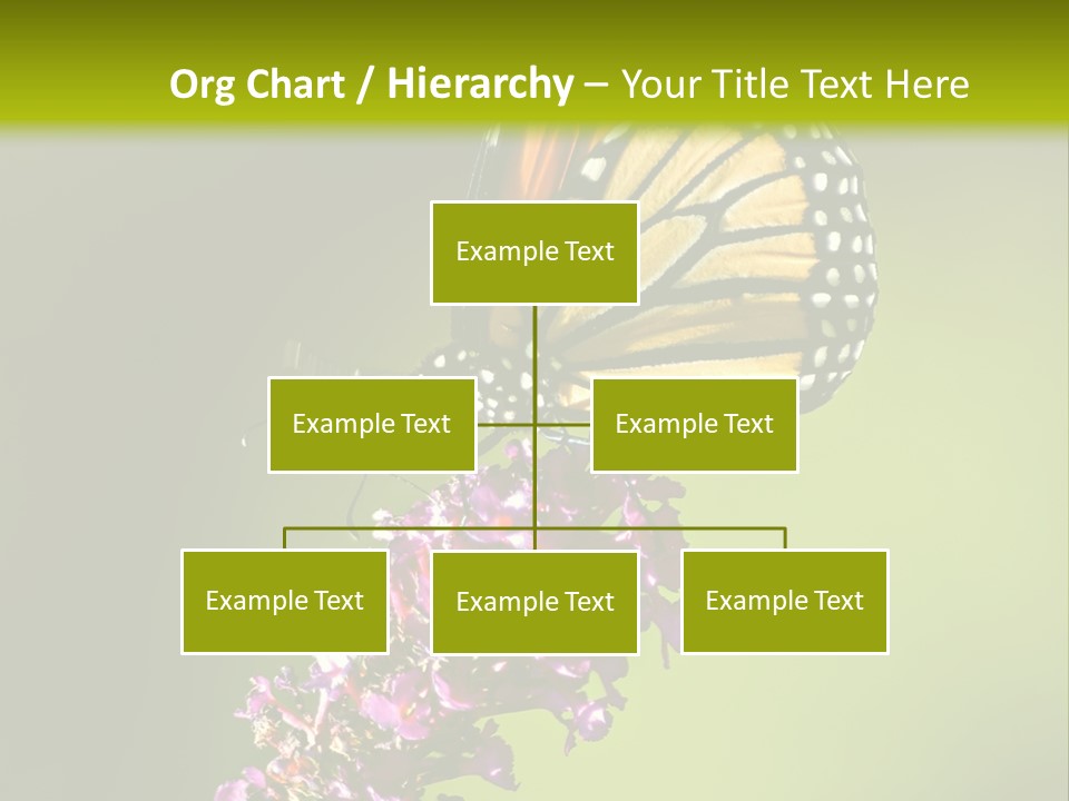 Monarch Butterfly PowerPoint Template