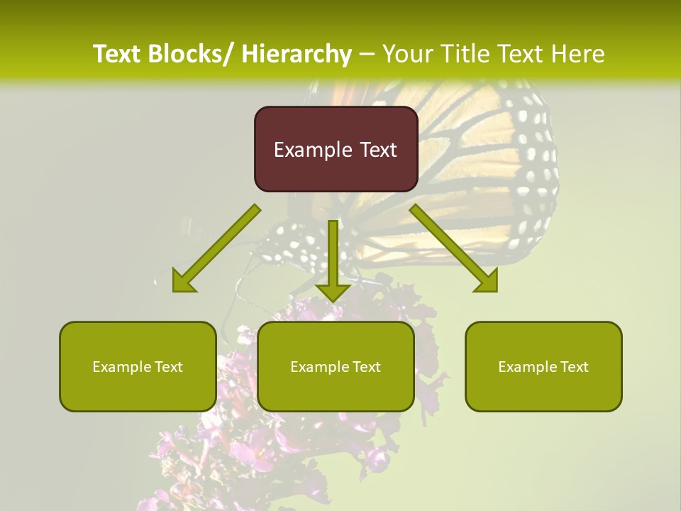 Monarch Butterfly PowerPoint Template