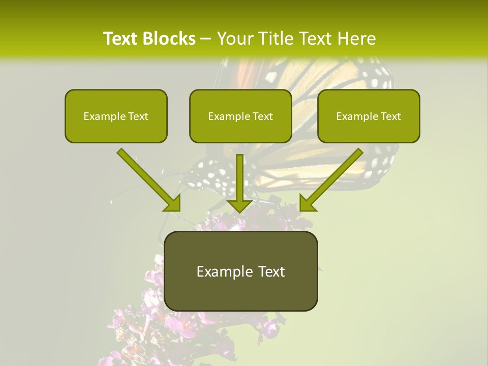 Monarch Butterfly PowerPoint Template