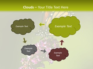 Monarch Butterfly PowerPoint Template