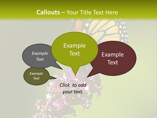 Monarch Butterfly PowerPoint Template